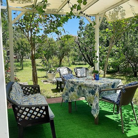 Tom E Jerry Bed & Breakfast Domus De Maria Luaran gambar