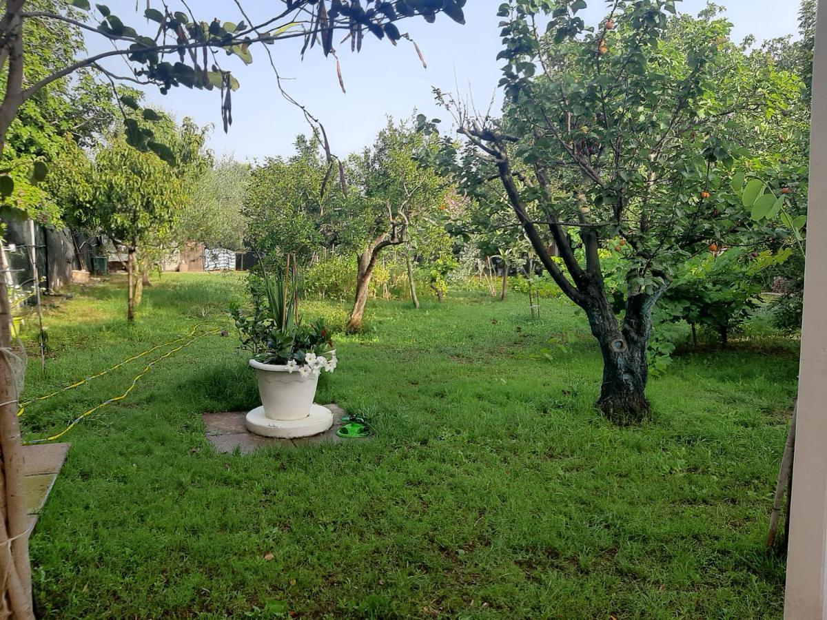 Tom E Jerry Bed & Breakfast Domus De Maria Luaran gambar