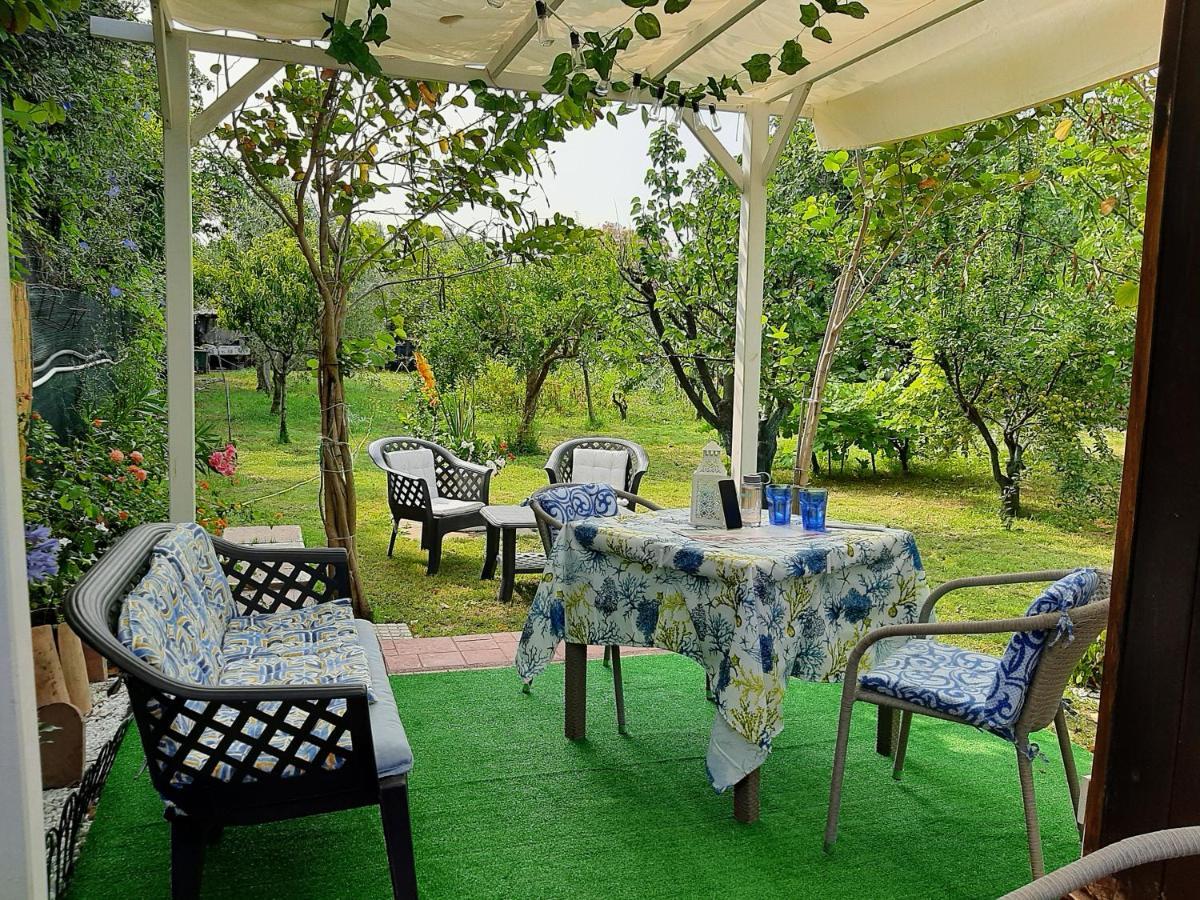 Tom E Jerry Bed & Breakfast Domus De Maria Luaran gambar