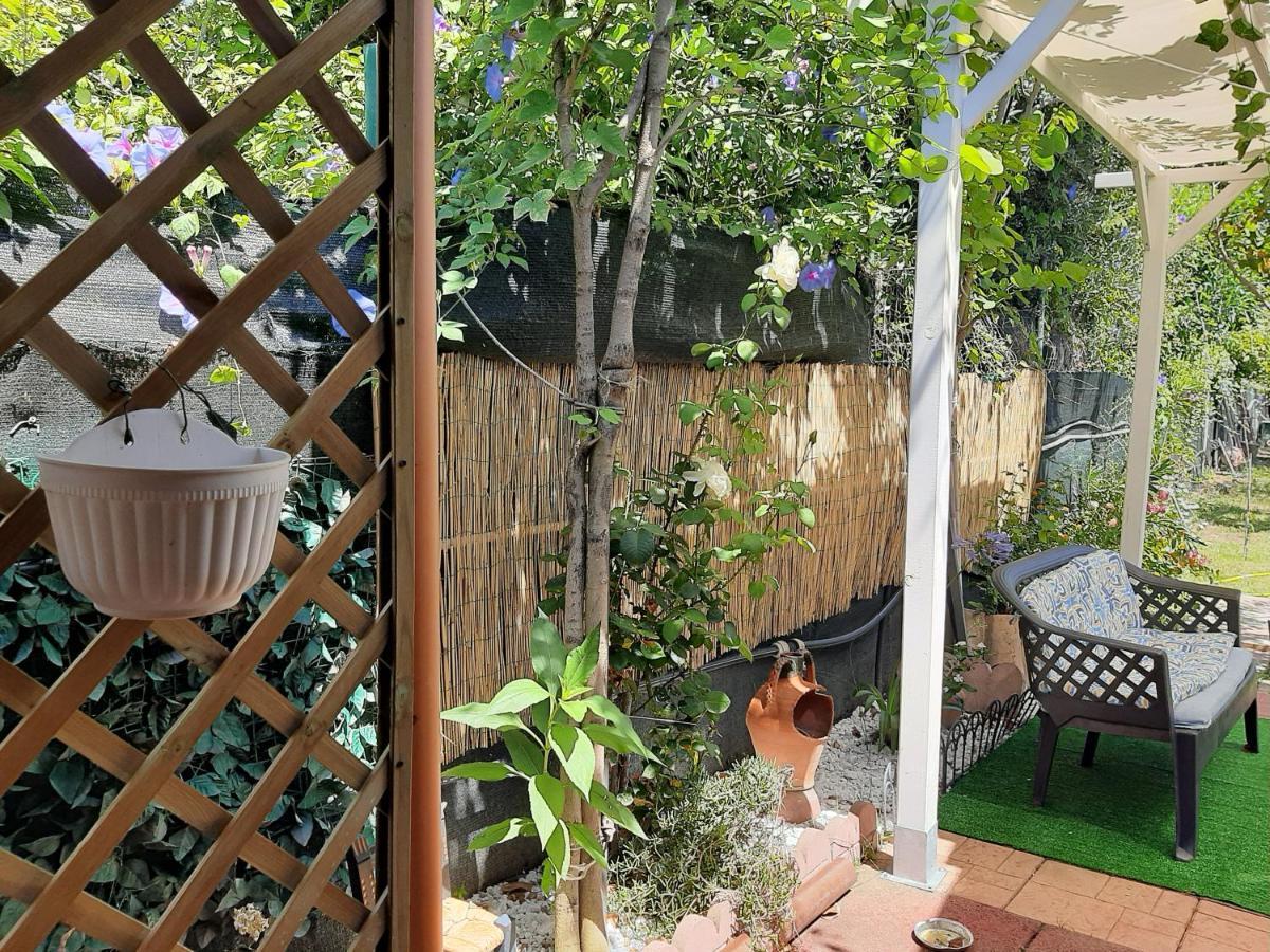Tom E Jerry Bed & Breakfast Domus De Maria Luaran gambar