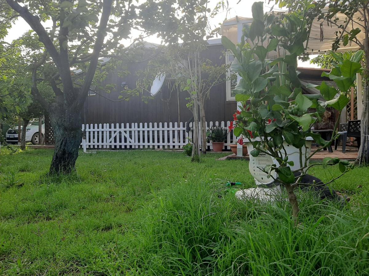 Tom E Jerry Bed & Breakfast Domus De Maria Luaran gambar