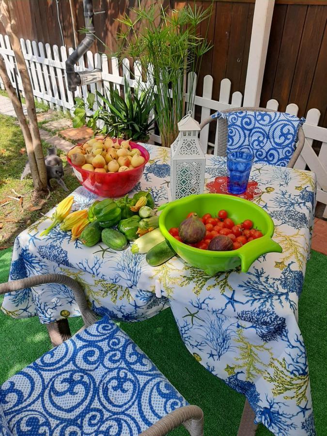 Tom E Jerry Bed & Breakfast Domus De Maria Luaran gambar