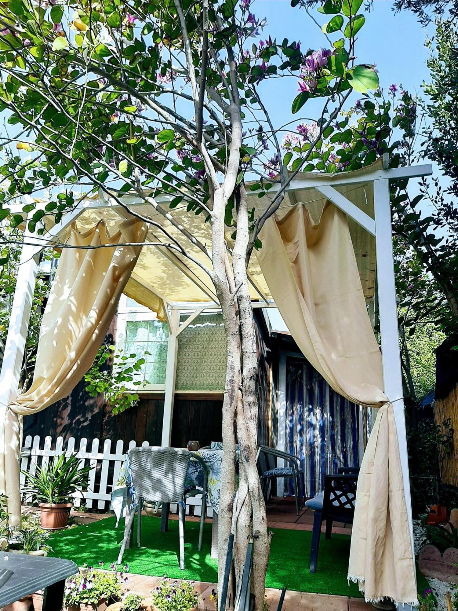 Tom E Jerry Bed & Breakfast Domus De Maria Luaran gambar